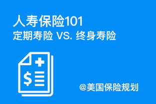 人寿保险101 定期寿险vs终身寿险